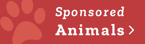 Sponsored Animals