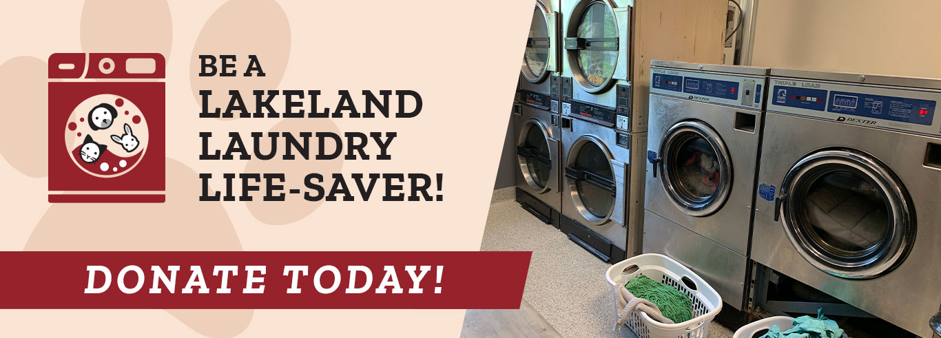 Be a Lakeland Laundry Saver