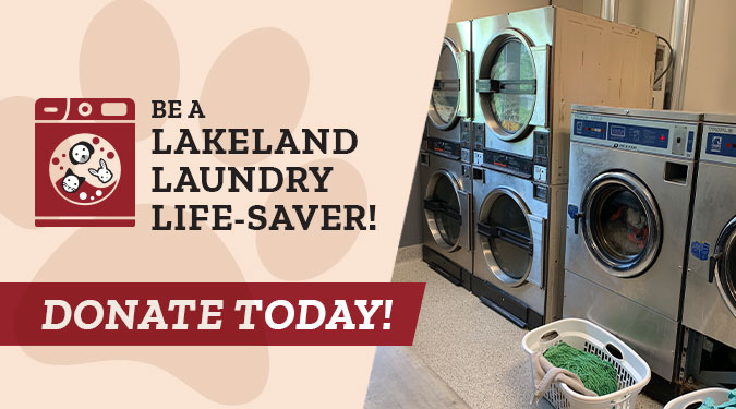 Be a Lakeland Laundry Saver