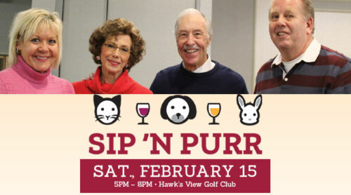sip n purr