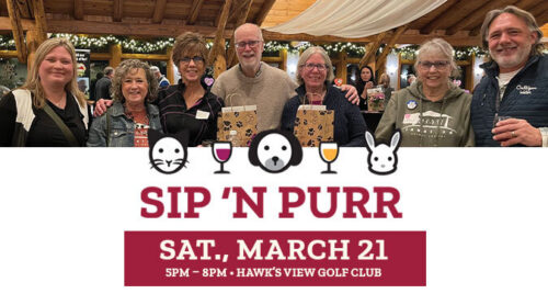 group of people at Lakeland Animal Shelter's Sip n' Purr