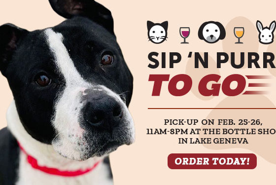 Sip 'n Purr To Go