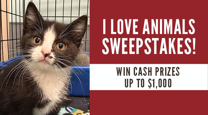 Lakeland Animal Shelter Sweepstakes