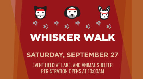 Whisker Walk