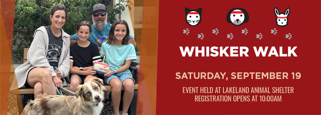 whisker walk 2026