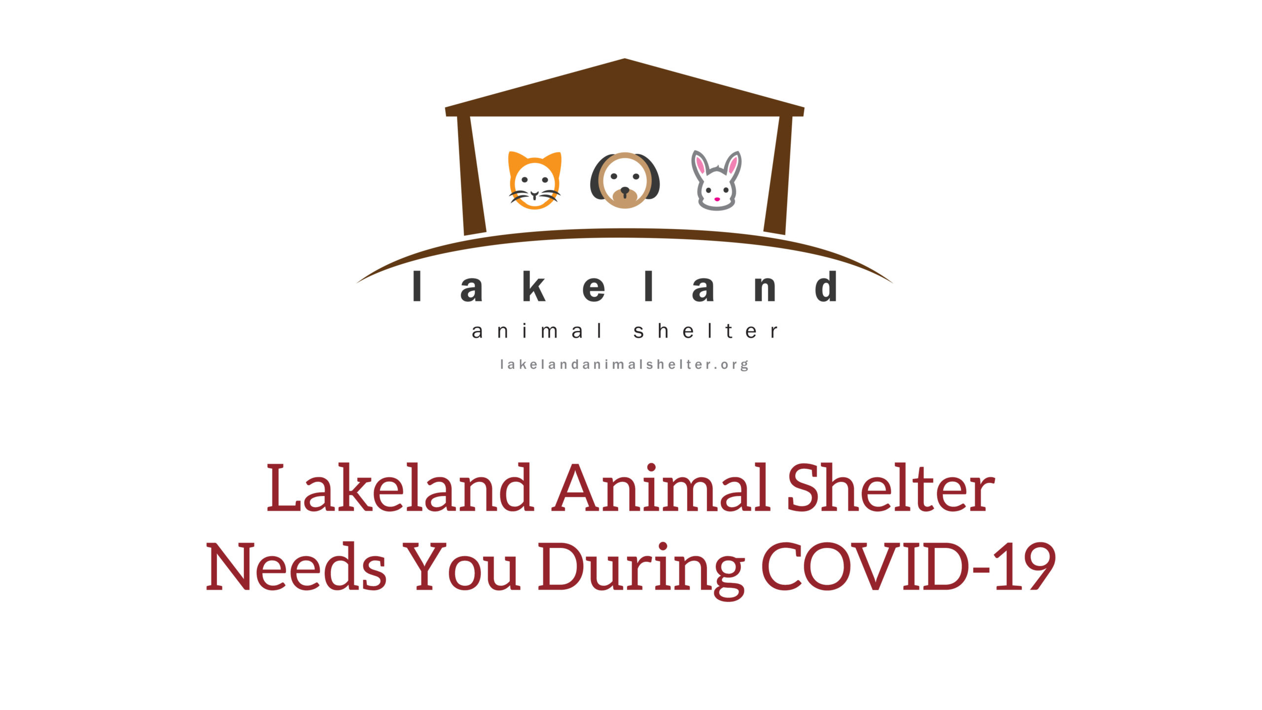 How You Can Help Animals During COVID-19 - Lakeland Animal Shelter